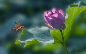 ������ɫ������һ�����֮�s