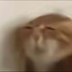 ���������w�̘I(y��)ͦ�D�y�ģ�ɽķ�Ƃ}������o�������_������С