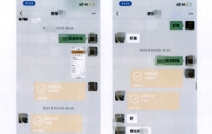 ��ꎣ��Ȧ����p�_300���f���@��