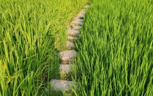 �����~�����ˮ患��׉����� С����ˮ