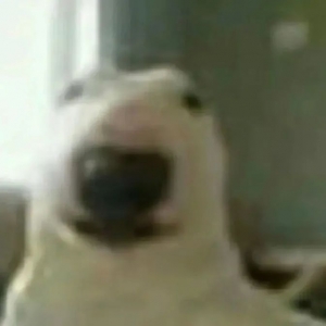  �f����Ҫ���������ˣ������_ʼ8�c��ŌW��