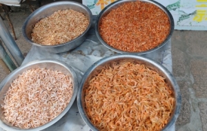 ������ͨ��̽�����(zh��n)���[������