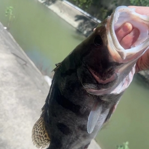 ·�����������ˮ���~���L(f��ng)����ʲô����~