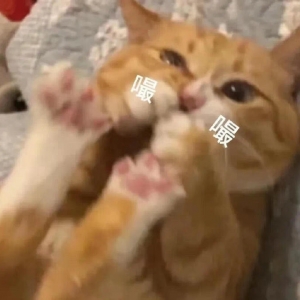 ��߅С݅���Y(ji��)���ˣ��ׂ�(g��)��������_ʼ���N���������N�ӗ�С݅������