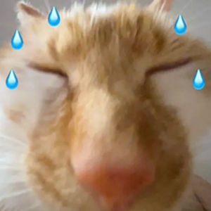 늄�܇�����������������F(tu��n)���ȁ��b؛����Ȼ�ǵε��܇����ǰ�еε��b؛���܇�������b ...