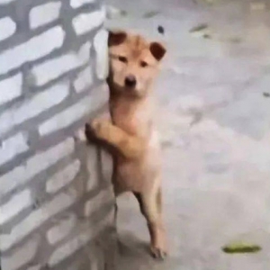 ���Ѽҵ��L(zh��ng)݅��ȥ����һ�׺���������(l��i)��(ji��n)�������������������Ů����ٝͬ�@ô���᣿