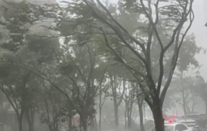 �(qi��ng)�_(t��i)�L(f��ng)ؐ�̼ε�����W(w��ng)�ь�(sh��)�Ę�(sh��)ľ�|������