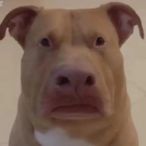 �������ϱ������8���ˣ��������a(b��)�N�ܓQһ��(g��)��һ������̫�_��(g��)