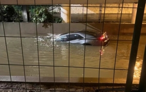 Ҫ����������@���_�W�ϵĸ���