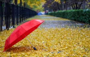 �������������ٱƽ�����(qi��ng)��՚⌢Ӱ푽��