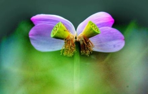 �@ϲ��ɏɏ�����z���S���Ĳ���ɏ�ĵ���