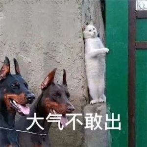 �F(xi��n)�ھW(w��ng)ُ(g��u)�����הDռ�Ј�(ch��ng)��M��(hu��)�T������M(f��i)�͵�260�����d���᣿