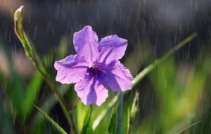 ���G���ε����л�����������������