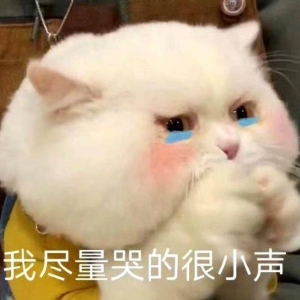 �治���������Ͼ���Т��ͣ܇7С�r���M217.5Ԫ