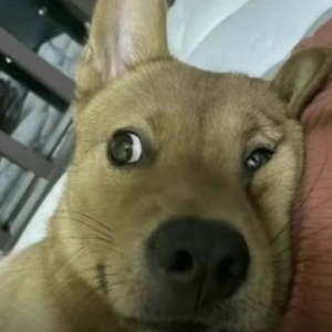 ���c������ô�@ô���Xѽ���Ҹ��XɶҲ�]������ǧ��͛]��