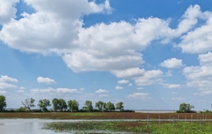 �S���ģ��Lʎ�������첻�H�ÿ������Ǻó�