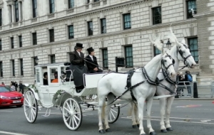 ���ؽ��^���d�^�c��ӛ��ҵ�һ��