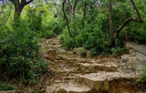 �򿨟o(w��)�a��ɽ�£���(l��i)̽������ˮ�l(xi��ng)���ζ