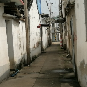 ���ˏ�����ִ�Ū�ڣ�ԭ���Ĺ�Т������ˌ��@���D�и��X�᣿