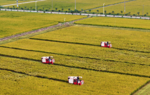 ���պá��S�������_���