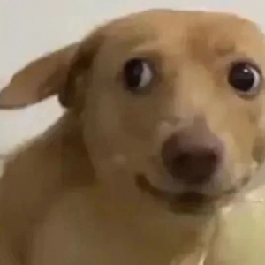 ��Щ�����Ǜ]������Ҋ��Ҳ����߅��С��Լ������ƣ�߀Ҫ�����e��һ���Ϯ�