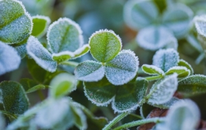 �_�L��̶�������ɣ���՚�Ҳ����