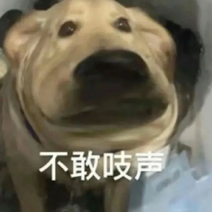 ���������ӣ���ĸ�������ҋ�ÿ�춼Ҫ��һ�飺��������ʲô����ʲô�r���ߣ���