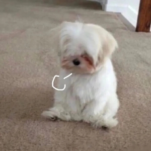 �������x��С��ҹ������ʲô�������c���uҲ����