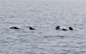 ����10�c30�֣���ꎴ�򸽽�����l�F