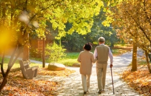 ���K13��ȫ���M���ж����껯���