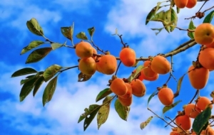 ��ĩ������@���������������~