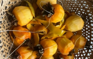 ��ꎵ�����e������Ը�㡰������������