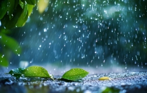 ��ꎆ��ӷ�Ѵ��������푑���