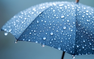 ���������_�L���ܶ��ε��