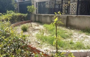 �������e��2�𣡽�ꎇ���