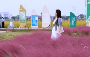 �z���S�ģ��������������컨��������