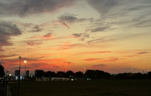 ��������ӳ��ϼ��һĨϦ����箋