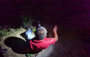 �@��������Ԯ��̫ů��