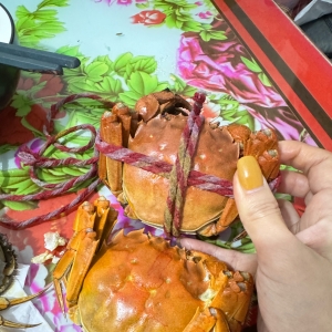 ʳƷ�ǵ������lз��ĸз�o�ҵ����ɺ�з�����������ˣ���ˮ�a�Ĳ����c؈ā�ǲ��ܻ�� ...