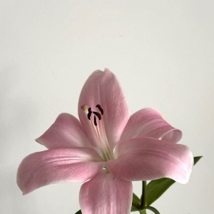 �W�ѷ������ڄӑB������⣡�����������ː�