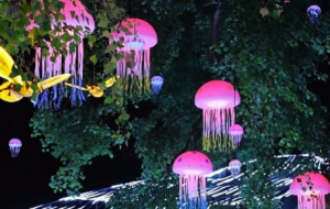 ҹɫ�е�÷�@��Ϫ��һ�����x������ҕ�Xʢ�縡�F��ǰ