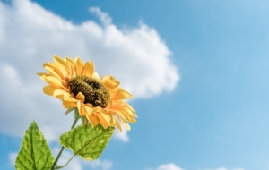 ������26�棡��һ���_(t��i)�L(f��ng)����