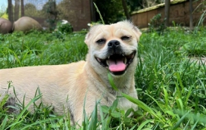 �r�ҹ⾰���箋�������������l��