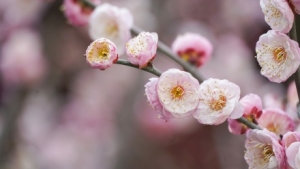 6�棡����붬������Ϣ��