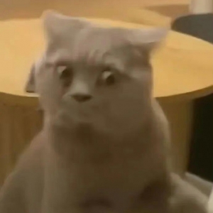 ����Ϣ����ꎾ�Ȼ�м��L�u�޵��@�N�̶ȣ����Л]���þ͌������ٸ�����