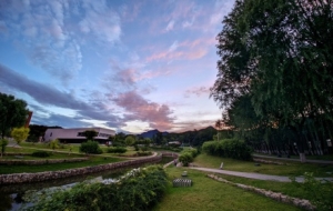 �S�����ճ���ƽƽ����Ҳ��һ�N�Ҹ���