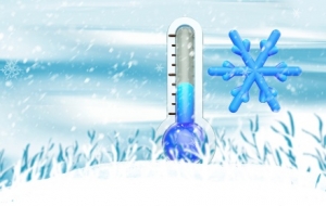 ��ꎺ����{ɫ�A��