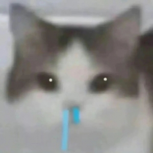 ��ꎹ���վ��վ��һ�c����Ҏ�������h����·�ڵ�վ�c���ĳ�AA·BB·