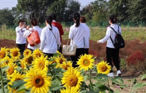 �o�a�@Ƭ���տ��_���������̂�����Úg��~