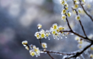 ��������ꎽ����붬